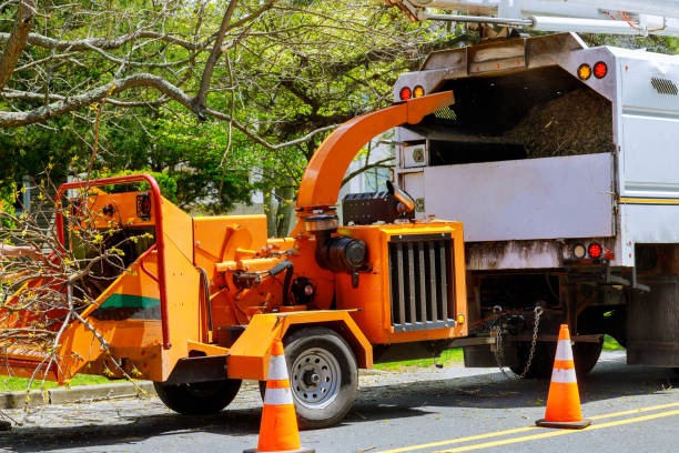  Charleston, MO Tree Removal and Landscaping Services Pros